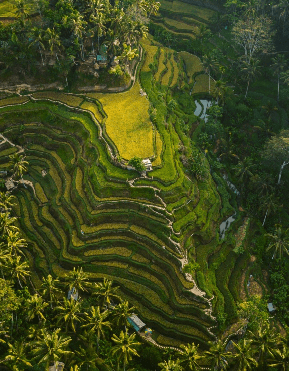 Spiritual Sustainability
